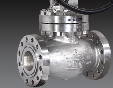 L&T Globe Valves